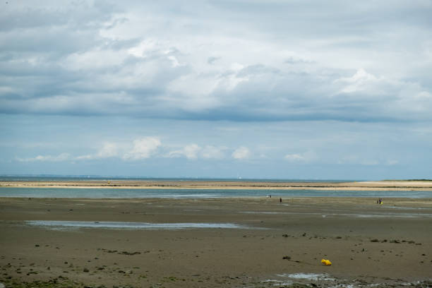 istock A desolate ocean shore on a cloudy day during the cold season, scattered seashells on the beach 1700505041