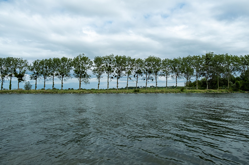 A serene natural landscape featuring a body of water surrounded by a row of lush green trees, with a cloudy sky above