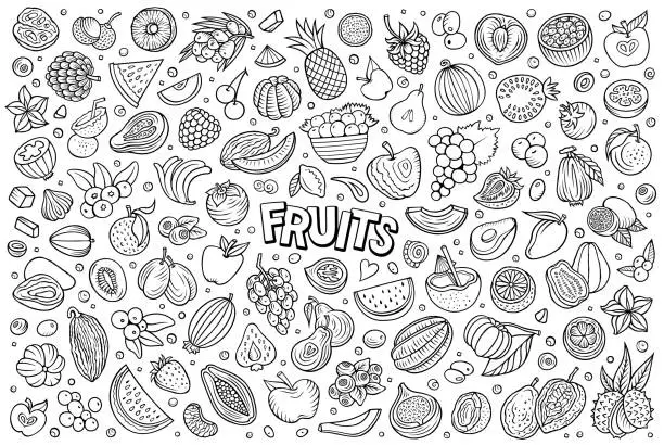 Vector illustration of Cartoon Fresh Fruits objects and symbols doodle set