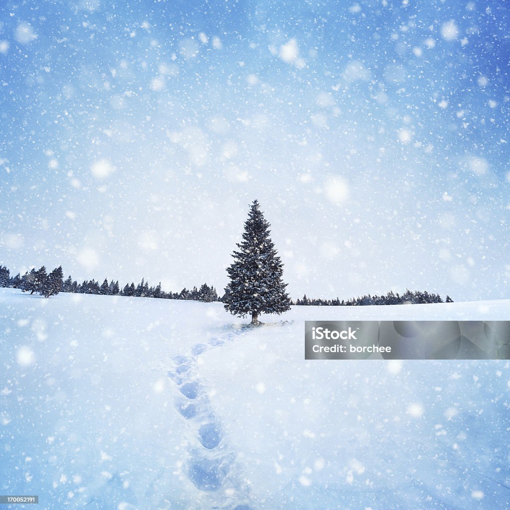Winter Baum - Lizenzfrei Weihnachten Stock-Foto