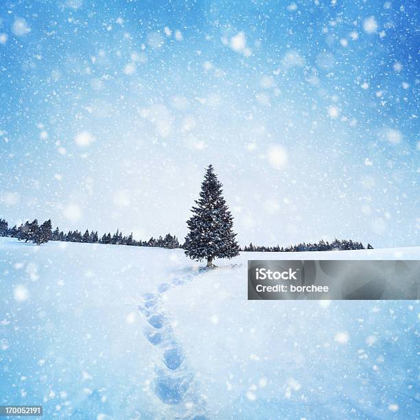 Winter Baum Stockfoto und mehr Bilder von Weihnachten - Weihnachten, Schnee, Fußabdruck