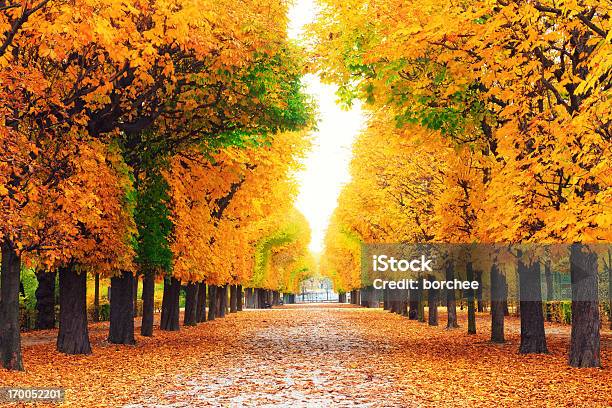 Jesień Park - zdjęcia stockowe i więcej obrazów Jesień - Jesień, Kasztan - Drzewo liściaste, Park - Krajobraz naturalny
