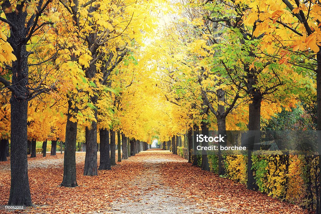 Осенний Парк - Стоковые фото Австрия роялти-фри