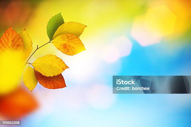 Autumn Leaves Stock Photo - Download Image Now - Change, Autumn, Season