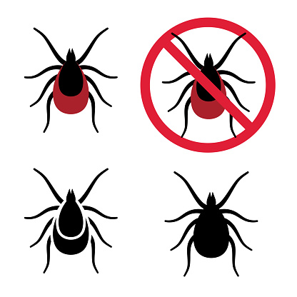 Ticks set. Deer tick. Tick ​​in prohibition sign. Vector clipart isolated on white background.