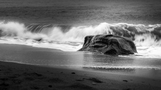 istock Beauty in B&W 1700532938