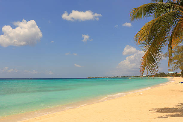 カリブ海：夢のビーチ - beach sea landscape curacao ストックフォトと画像