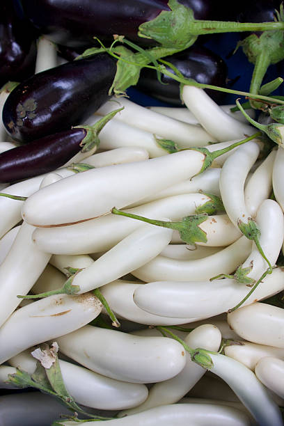 aubergine blanche - italian eggplant photos et images de collection