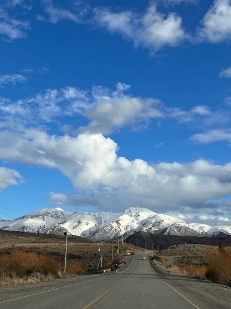 istock Argentine National Route in Patagonia 1700574813