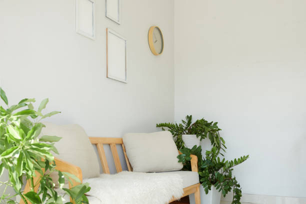 Apartment interior with light walls, cream color couch and lush plants