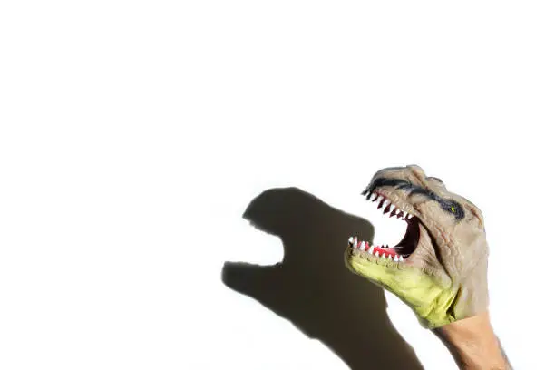 Photo of t-rex puppet with open mouth with cast shadow on white background