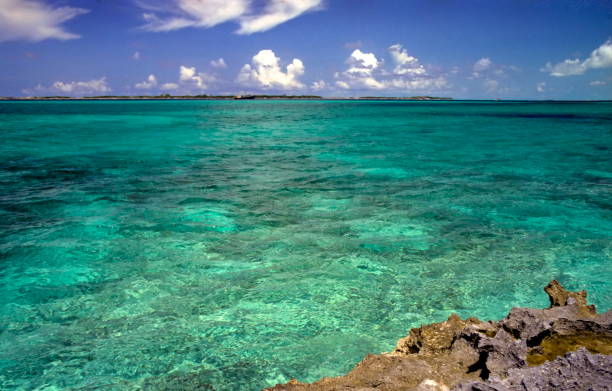 istock view of sandy beach against sea and sky 1700580990