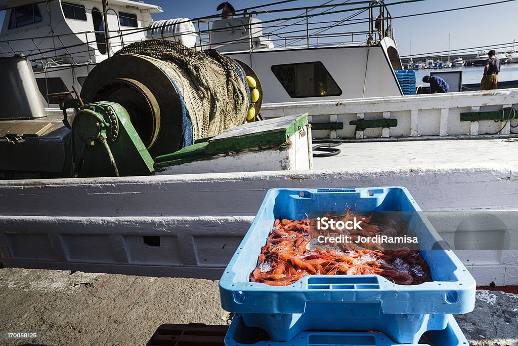 Fini de pêche à la crevette - Photo de Industrie de la pêche libre de droits