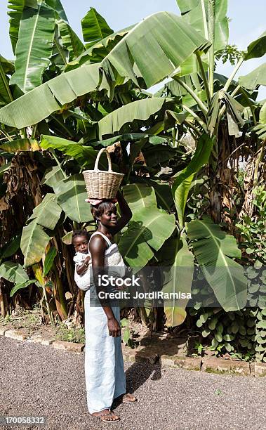 Mulher Africana - Fotografias de stock e mais imagens de Senegal - Senegal, África, Cesto