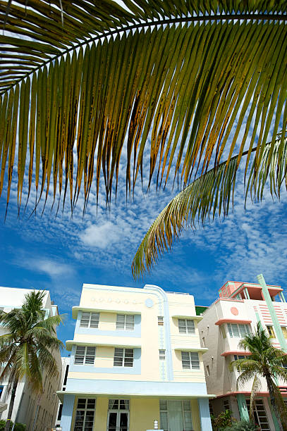 istock Miami Beach Art Deco Scene Palm Trees and Blue Sky 170060098