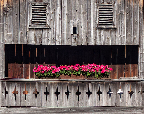 Flower decoration with pink geranium on the balcony of an old farmhouse in Upper Bavaria in the district Garmisch-Partenkirchen. Wooden shutters at the small windows. Specific to the pre-alpine region. Weathered and bleached wood. Sunny september day.