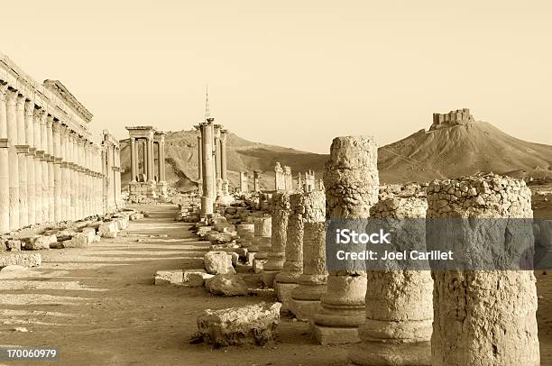 Syrias Ancient Past In Palmyra Syria Stock Photo - Download Image Now - Palmyra - Syria, Syria, Abandoned