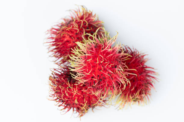 Vietnam Rambutan sweet fruit