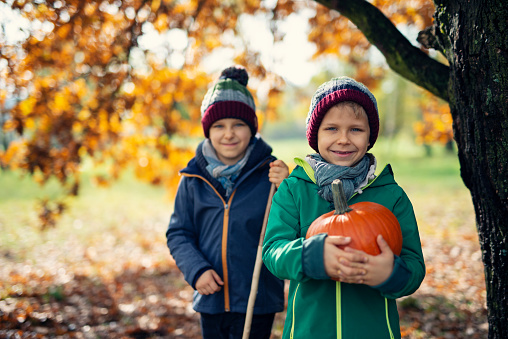 Happy boys walking on an autumn day. The boys are smiling and holding a pumpkin\nNikon D800