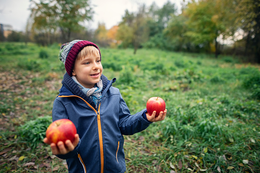 Happy boy holding two apples in his hands. The boy is smiling.
Nikon D800