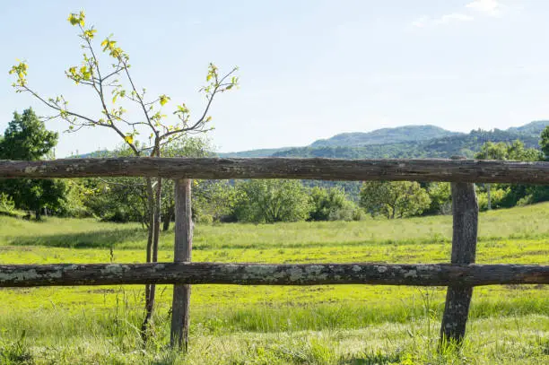 Rural landscape with wooden fence and beautiful green field in the spring, in small town Boljun, Istria in Croatia