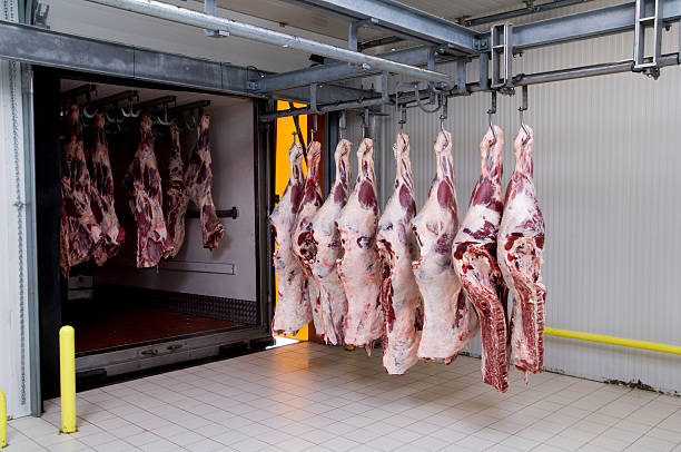istock Meat hanging in an industrial slaughterhouse 170063569