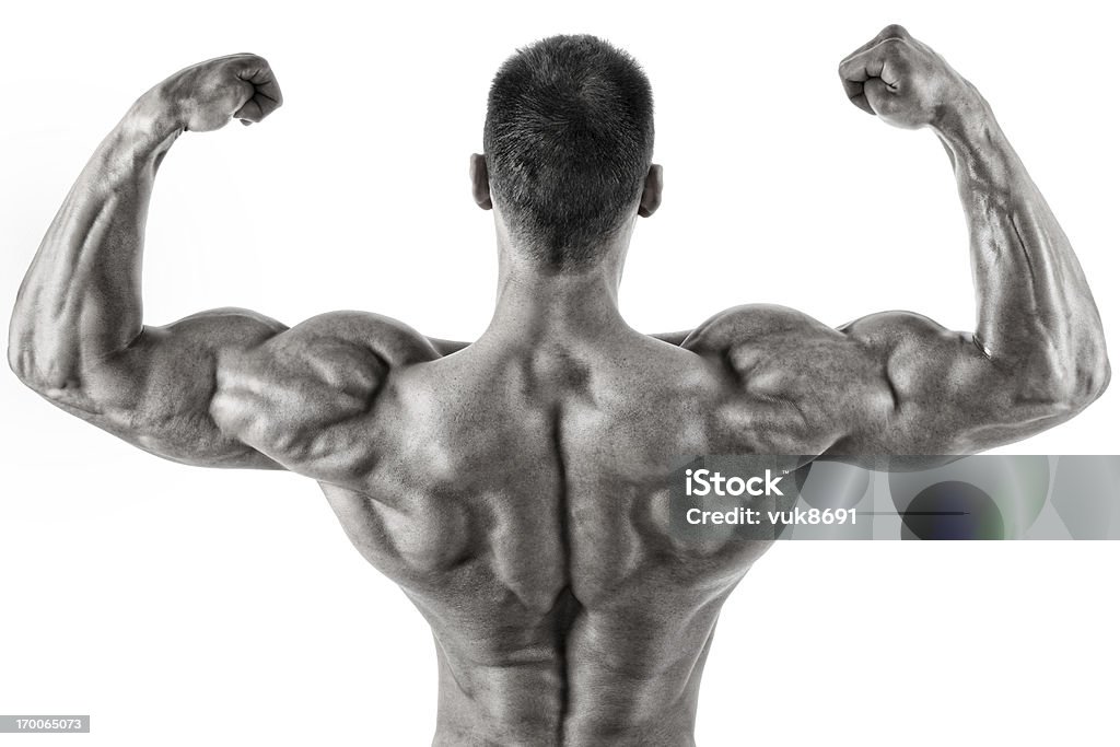 Body perfection Rear view of muscular young male isolated on white background Body Building Stock Photo