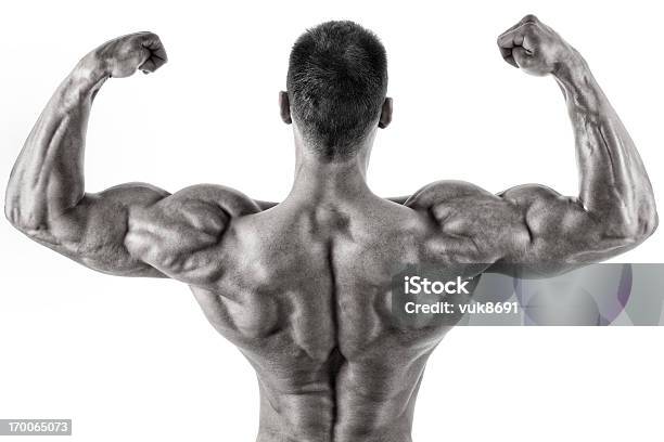 Body Perfection Stock Photo - Download Image Now - Body Building, Cut Out, Men