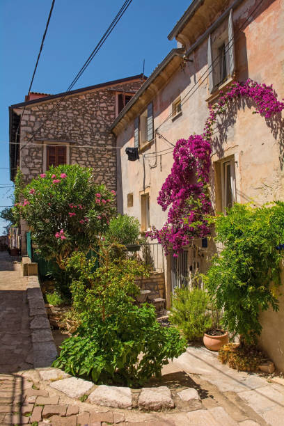 istock Buildings in Rovinj, Croatia 1700679331