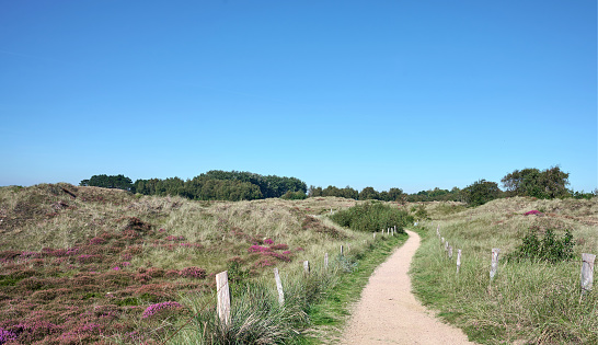 Nordic Walking Trail in the Dunes of Sankt Peter-Ording,North Frisia,North Sea,Eiderstedt Peninsula,Germany