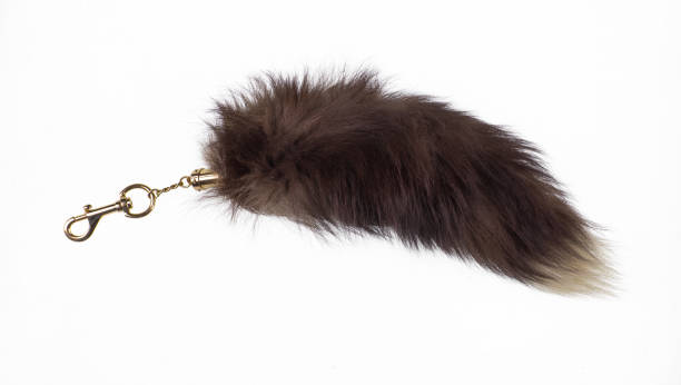 istock keychain with fur tail isolated on white background 1700699891