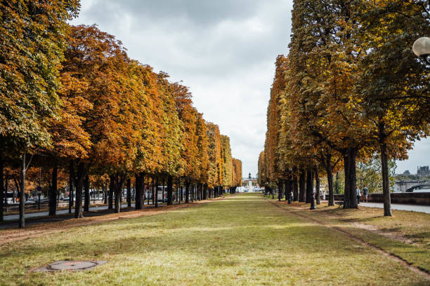 istock Cours la Reine park in Paris 1700712231