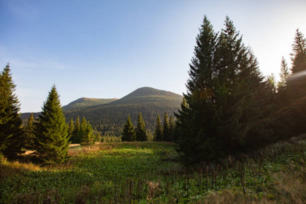sharp rocks of Shpytsi Mountain in Chornohora mountain range in Ukrainian Carpathians