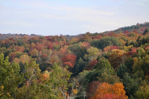 istock The Catskills in the Autumn 1700736815