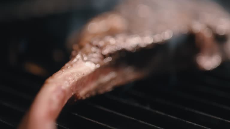 A piece of meat being grilled