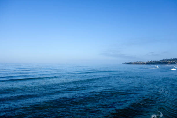 nordseite von pacific beach, san diego, kalifornien - sunbathing surf sea pacific ocean stock-fotos und bilder