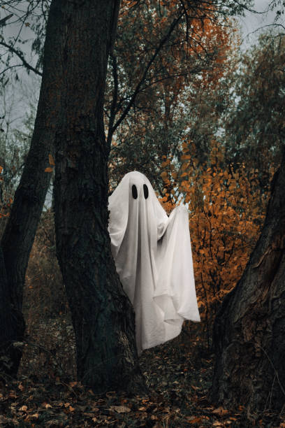 istock The ghost is covered with a white ghostly sheet in the autumn gloomy forest. A spooky white ghost peeks out from behind a tree 1700782635