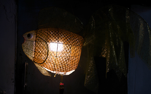 Close-up of handmade goldfish Mid-Autumn Festival lanterns