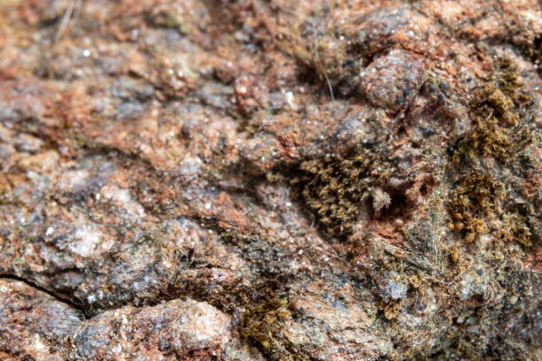 istock natural stone texture. schist. close-up background. 1700811697