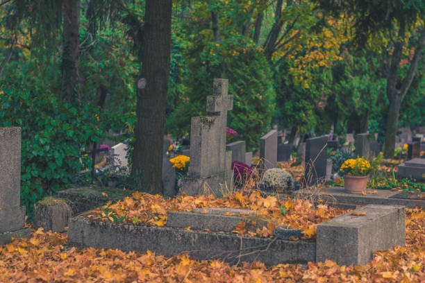 istock All Saints day, All souls day concept 1700813423