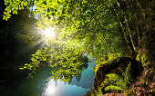 The sun shines through lush green trees at a lake