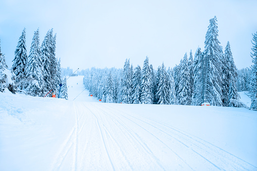 Winter nature background ski resort