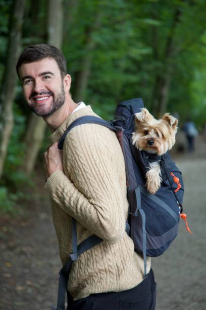 istock Man hiking with his dog 1700903069