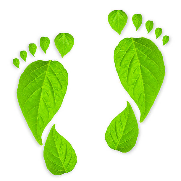 istock Footprints made out of green leaves on a white background 170090852