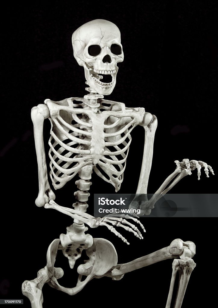 Dancing Skeleton on Black Background. A human replica skeleton with arms raised on a black background. Focus selective on breast. Human Skeleton Stock Photo