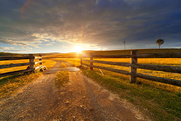Rustic Farm Gravel path onto rural property under golden sunset. ranch stock pictures, royalty-free photos & images