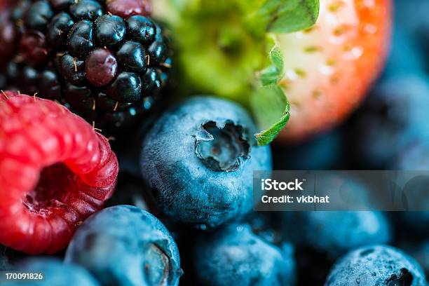 Bayas Foto de stock y más banco de imágenes de Alimento - Alimento, Arándano, Color saturado