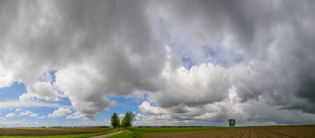 Panorama of a landscape in the Noordoostpolder in The Netherlands.
