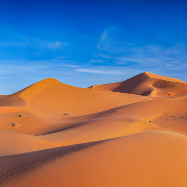 deserto del sahara occidentale in africa - great sand sea foto e immagini stock