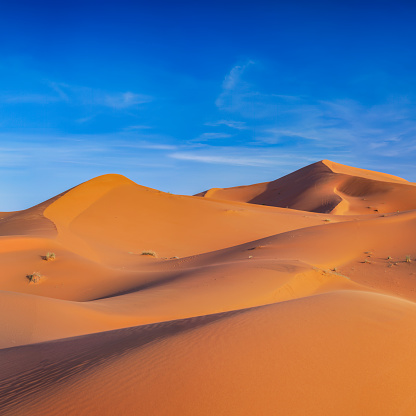 This panoramic landscape is an very high resolution multi-frame composite and is suitable for large scale printing.
Sand dunes on Western Sahara Desert in Morocco, part of Sahara Desert. The Sahara Desert is the world's largest hot desert.
